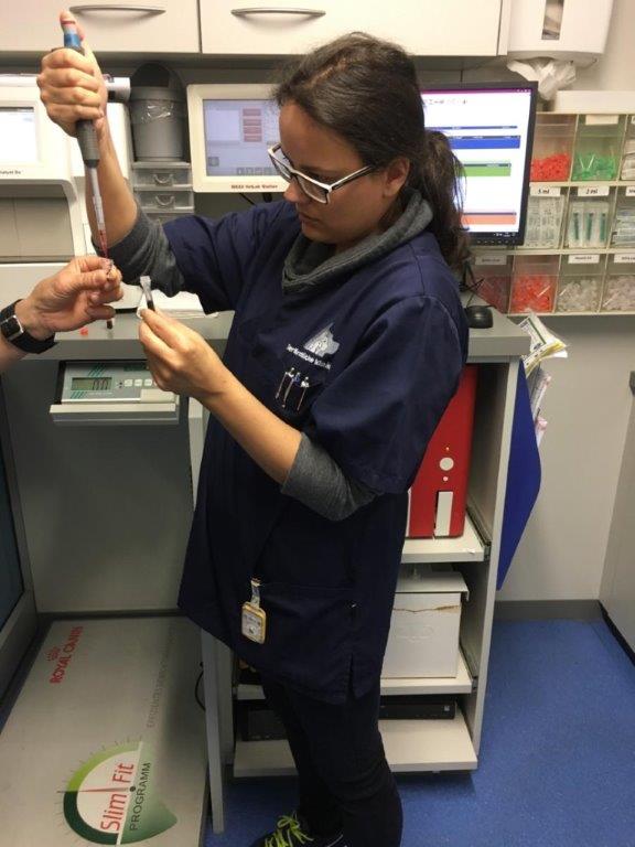 Außenarbeitsplatz Tierklinik Außenarbeitsplatz Tierklinik